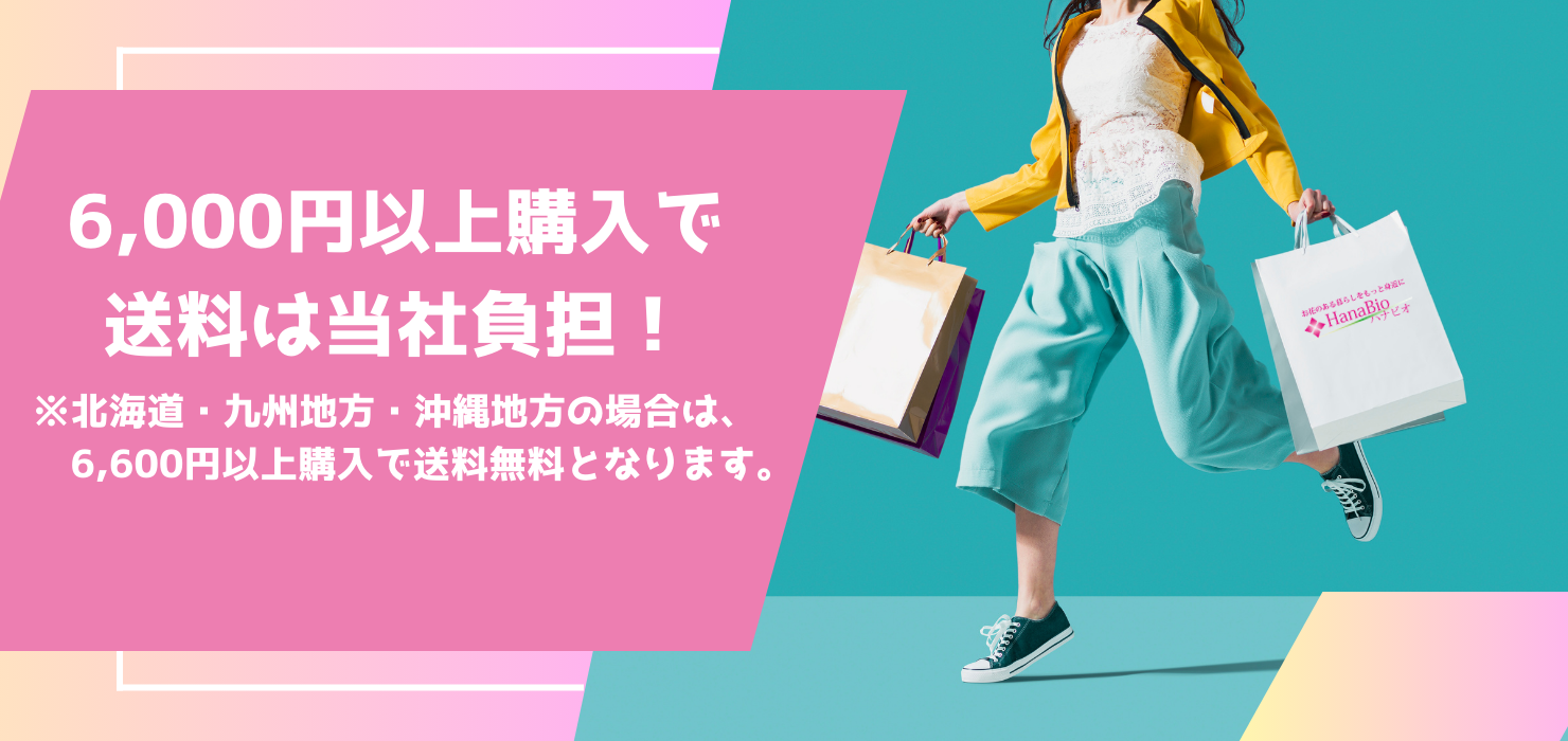 送料無料キャンペーン,6000円以上お買い上げで送料無料（ただし、北海道、九州地方、沖縄地方は6600円以上で送料無料）