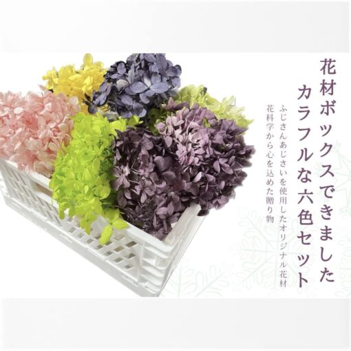 プリザーブドフラワー あじさい 花材 ソフトフラワー アジサイ フラワー 6色アソートパック 日本国産（山梨県産ふじさんあじさい使用）花科学