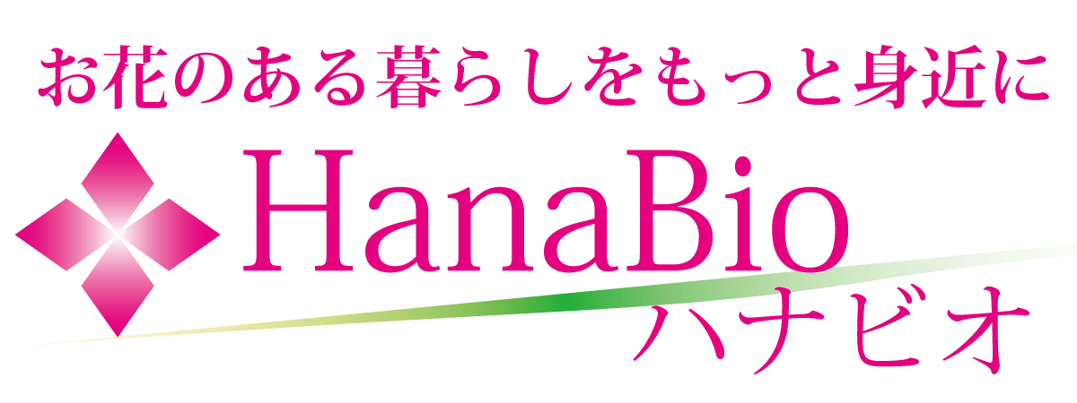 フラワーアレンジメント用 クラフトハサミ 初心者用 | ハナビオ