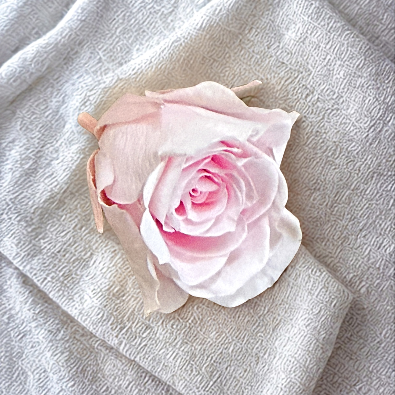 Image #1 from ジュリー