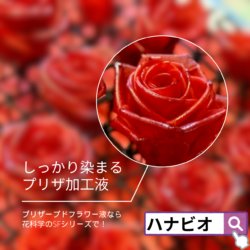 Alternative view of かんたん手作りプリザーブドフラワー加工液 インスタントプリザ １液タイプ SF-G液 内容量：1L