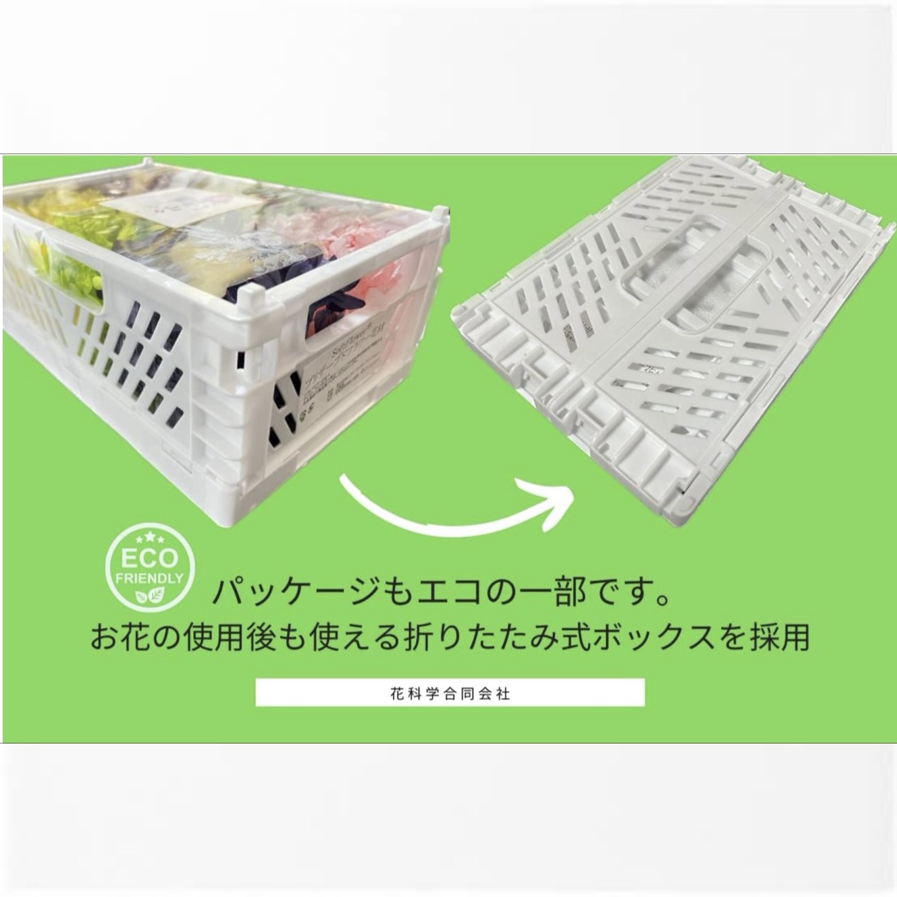 プリザーブドフラワー あじさい 花材 ソフトフラワー アジサイ フラワー 6色アソートパック 日本国産（山梨県産ふじさんあじさい使用）花科学 - 画像 (3)