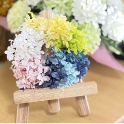 プリザーブドフラワーリース 直径14cm 壁掛け | ふじさんアジサイ使用 国産ソフトフラワー | ギフト・母の日・誕生日に