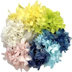 Alternative view of プリザーブドフラワーリース 直径14cm 壁掛け | ふじさんアジサイ使用 国産ソフトフラワー | ギフト・母の日・誕生日に