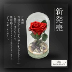 Alternative view of 新作 プリザーブドフラワーローズ フラワードーム セレクション