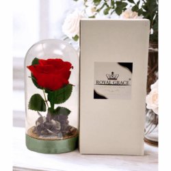 新作 プリザーブドフラワーローズ フラワードーム セレクション