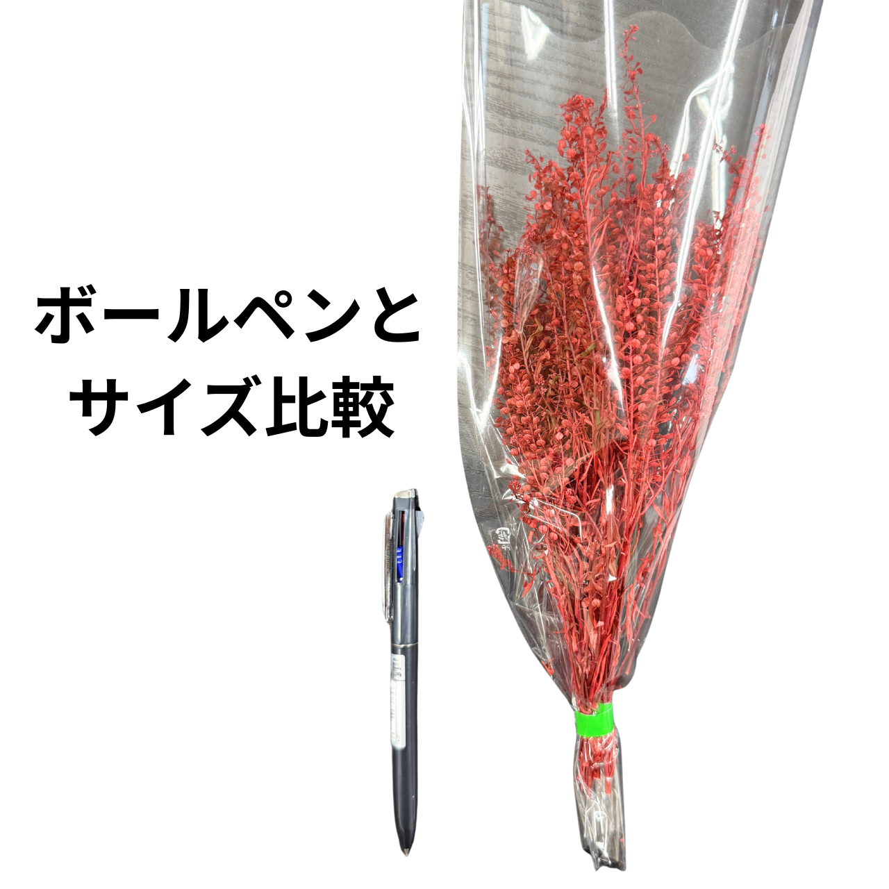 プリザーブドフラワー 花材 ソフトミニナズナ ソフトフラワー 本体のみ約10g前後 花科学 - 画像 (2)