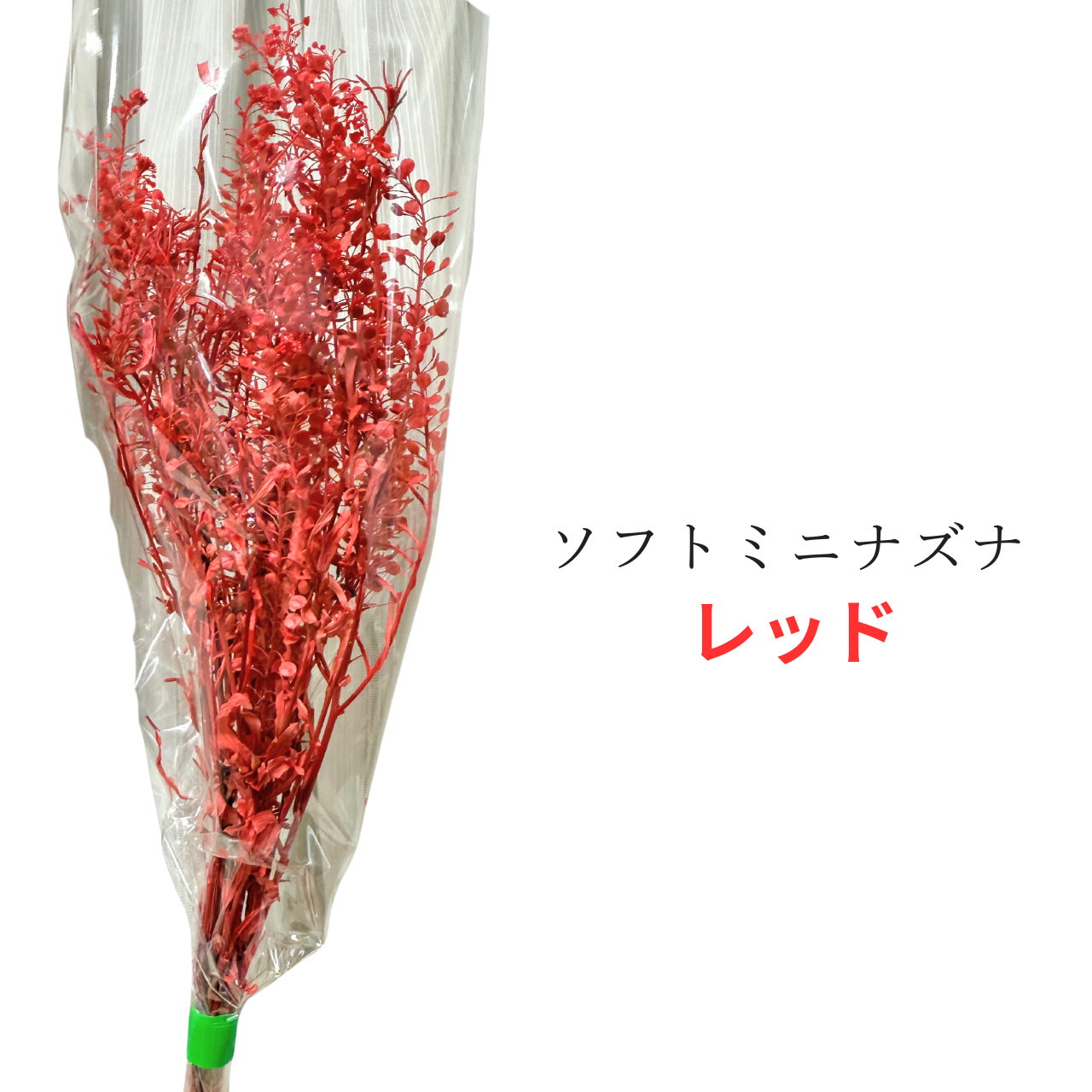 プリザーブドフラワー 花材 ソフトミニナズナ ソフトフラワー 本体のみ約10g前後 花科学 - 画像 (6)