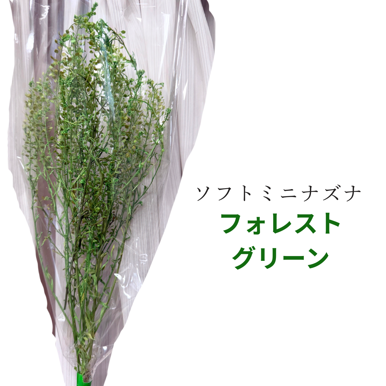 プリザーブドフラワー 花材 ソフトミニナズナ ソフトフラワー 本体のみ約10g前後 花科学 - 画像 (16)