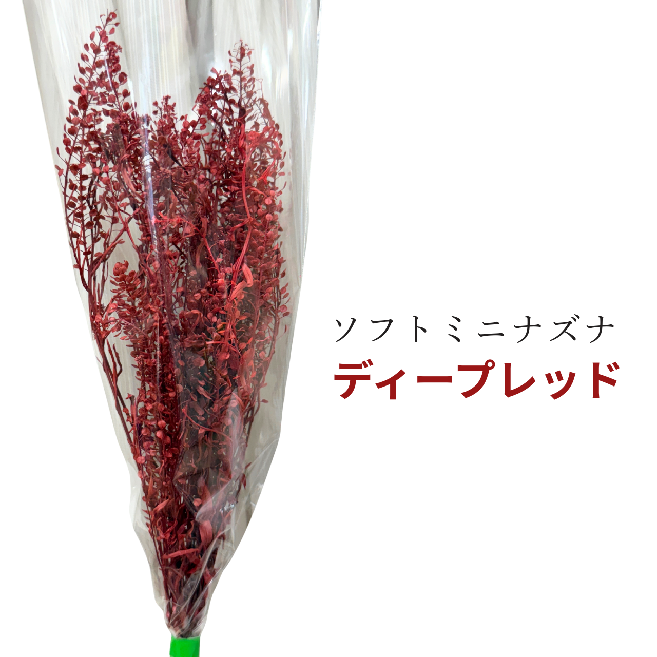 プリザーブドフラワー 花材 ソフトミニナズナ ソフトフラワー 本体のみ約10g前後 花科学 - 画像 (3)