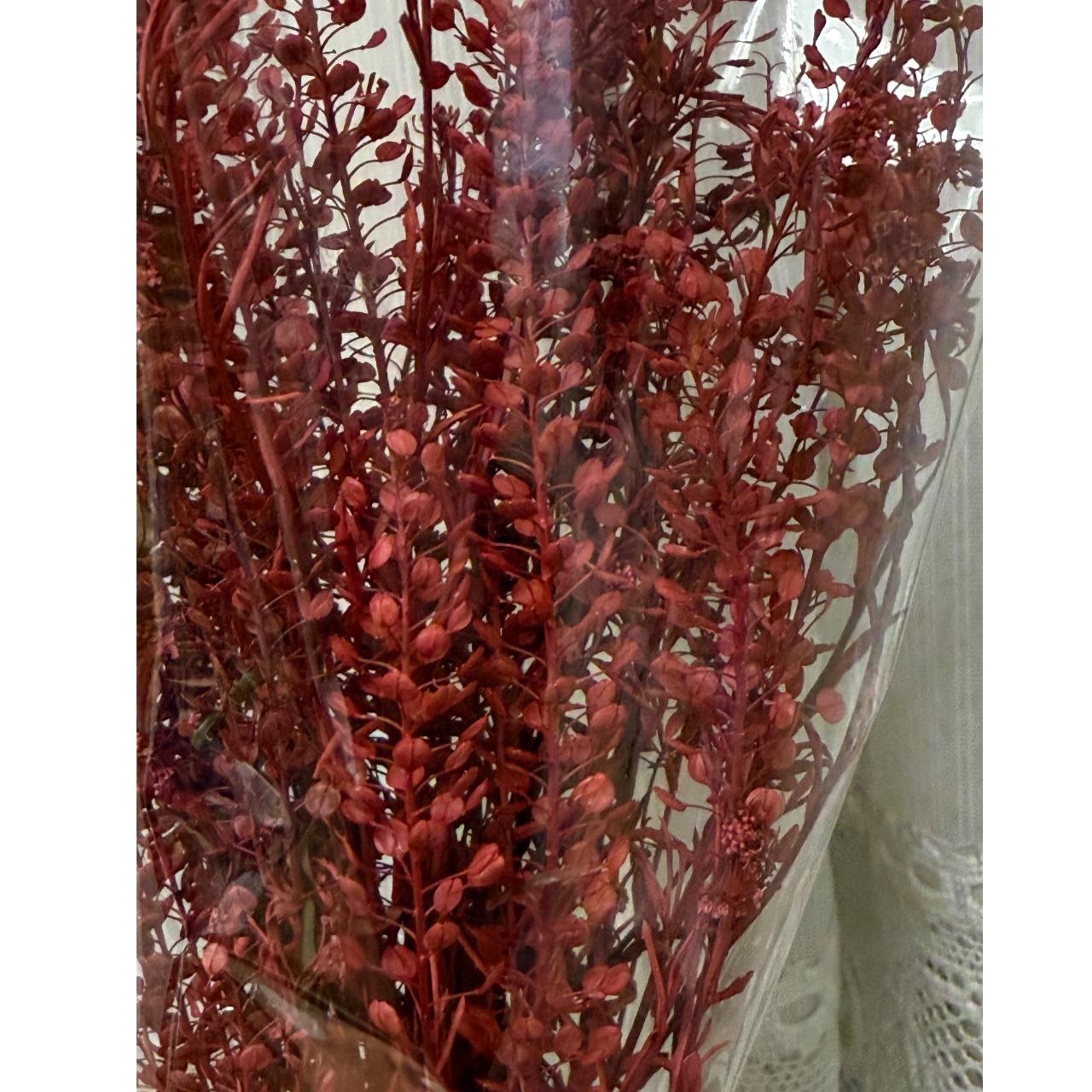 プリザーブドフラワー 花材 ソフトミニナズナ ソフトフラワー 本体のみ約10g前後 花科学 - 画像 (5)
