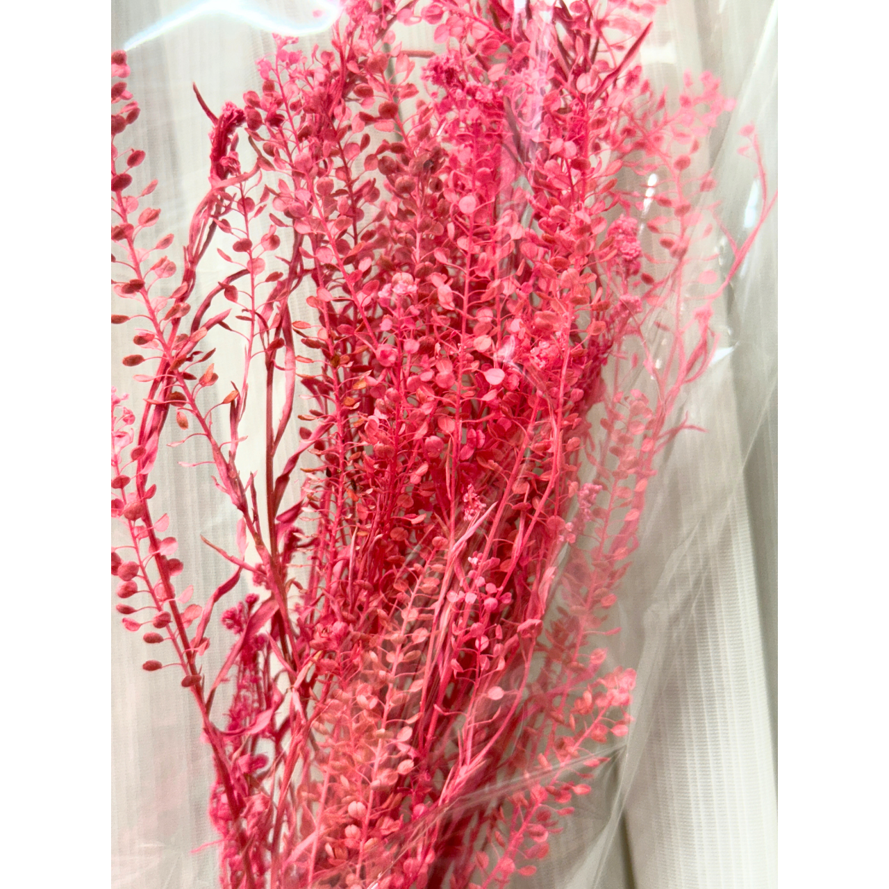 プリザーブドフラワー 花材 ソフトミニナズナ ソフトフラワー 本体のみ約10g前後 花科学 - 画像 (12)