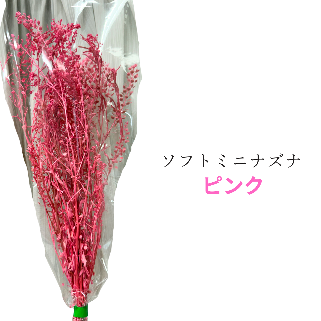 プリザーブドフラワー 花材 ソフトミニナズナ ソフトフラワー 本体のみ約10g前後 花科学 - 画像 (9)