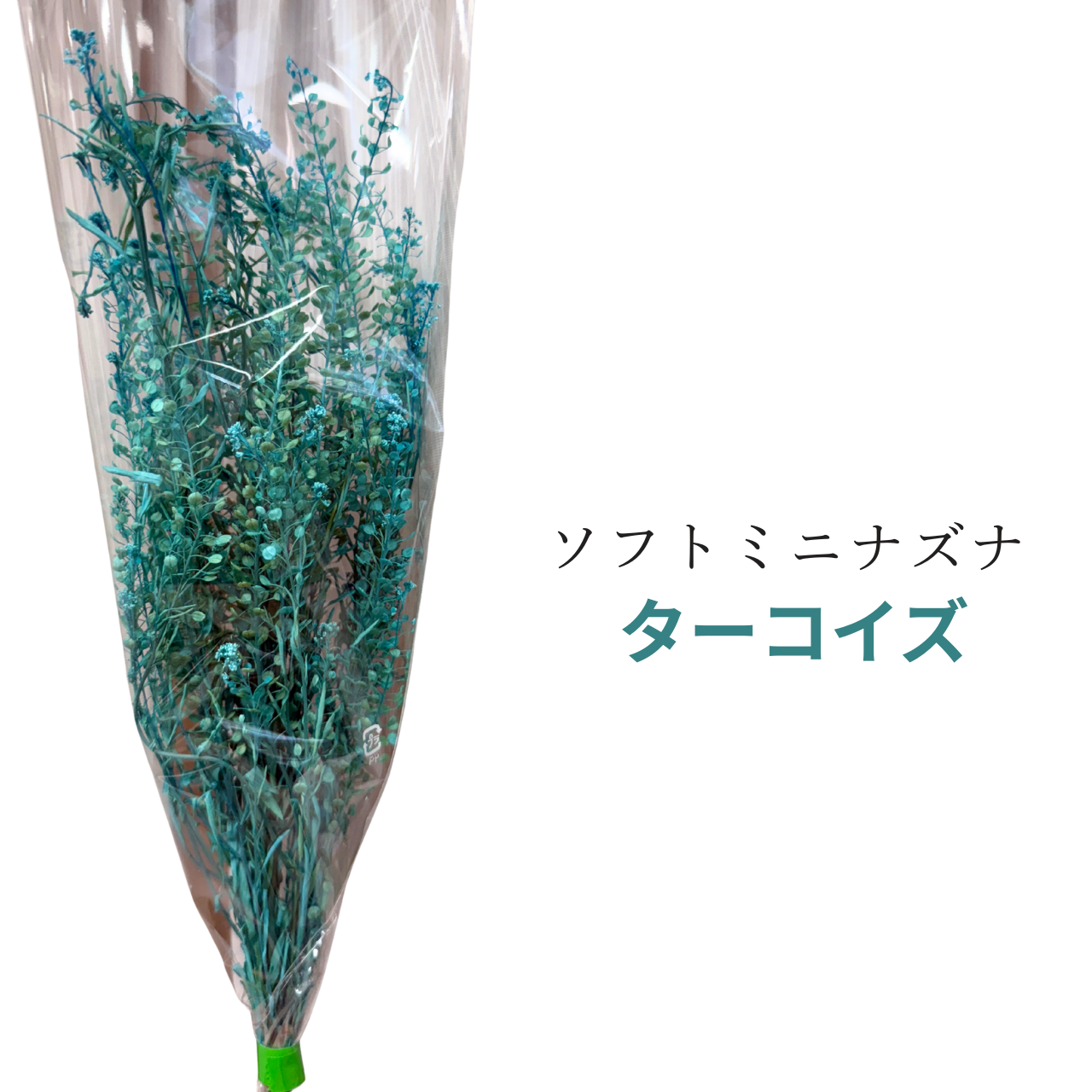 プリザーブドフラワー 花材 ソフトミニナズナ ソフトフラワー 本体のみ約10g前後 花科学 - 画像 (13)