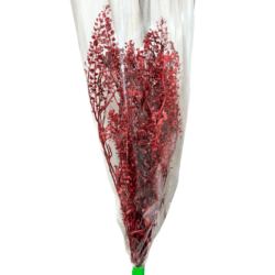 プリザーブドフラワー 花材 ソフトミニナズナ ソフトフラワー 本体のみ約10g前後 花科学